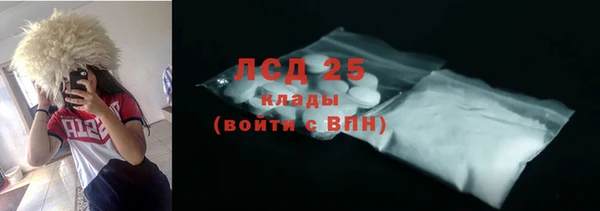сатива Кулебаки