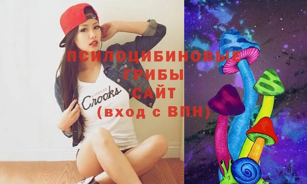 герыч Алексин