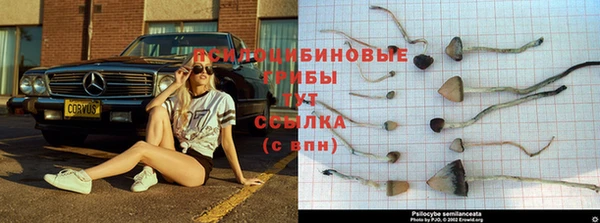 герыч Алексин