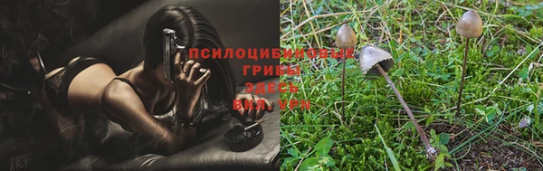 герыч Алексин